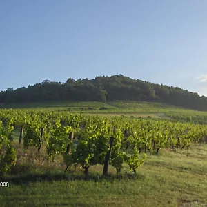 https://la-maison-du-vigneron.hotels-rhonealpes.com